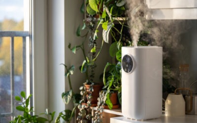 A humidifier and a plant sit in a room to improve its indoor air quality.